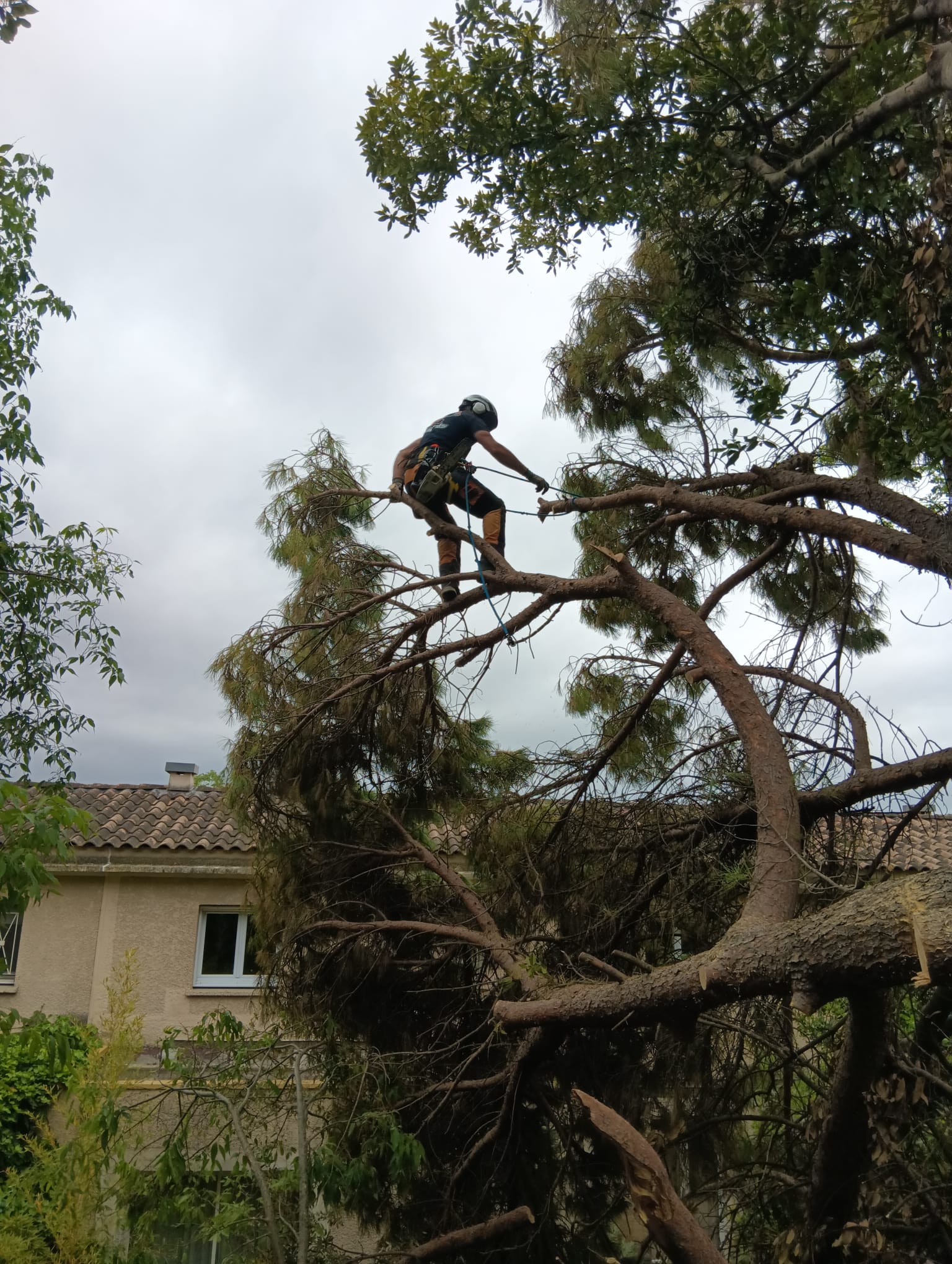 Elagage-urgence-securite-1 Elagage en urgences