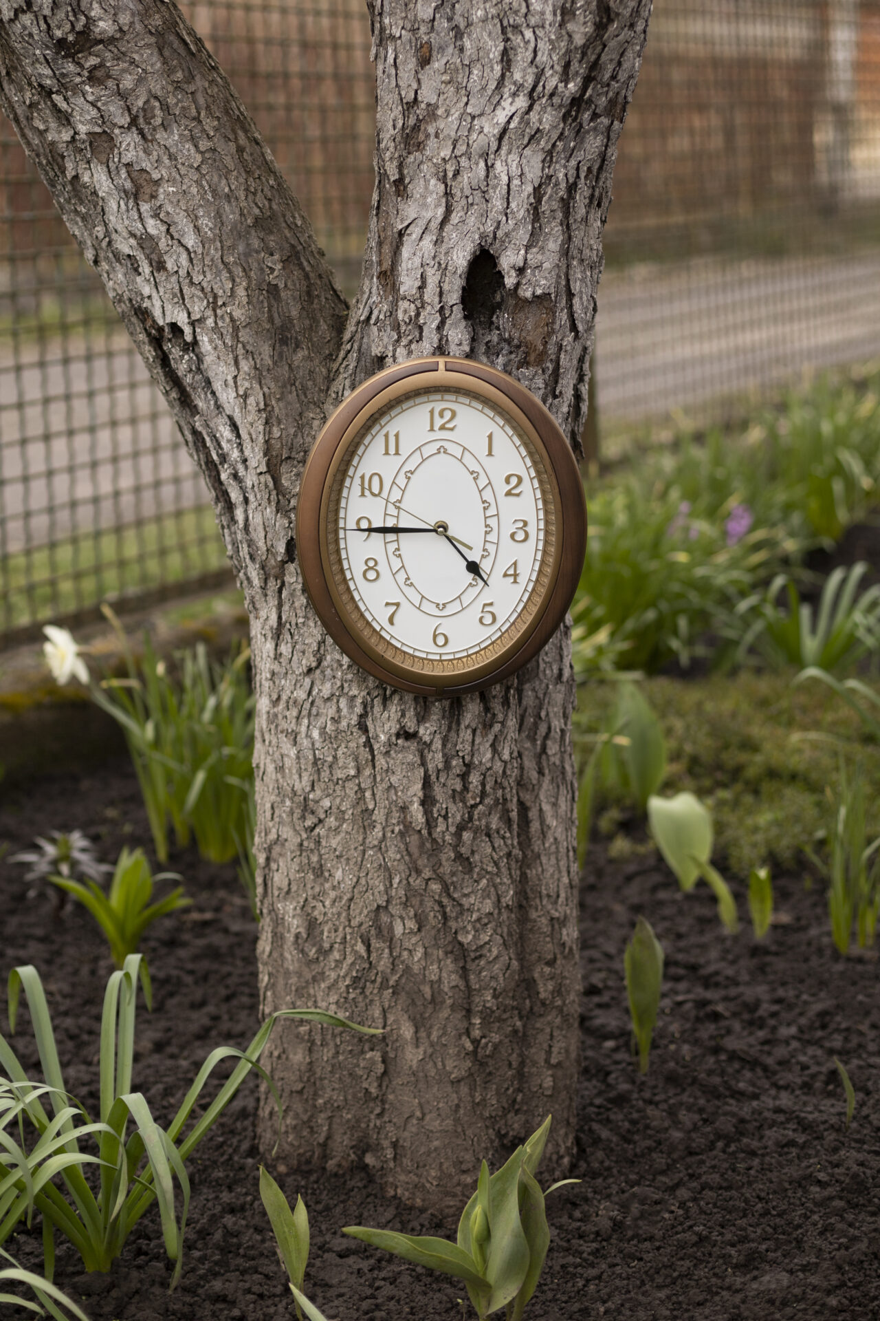 circular clock